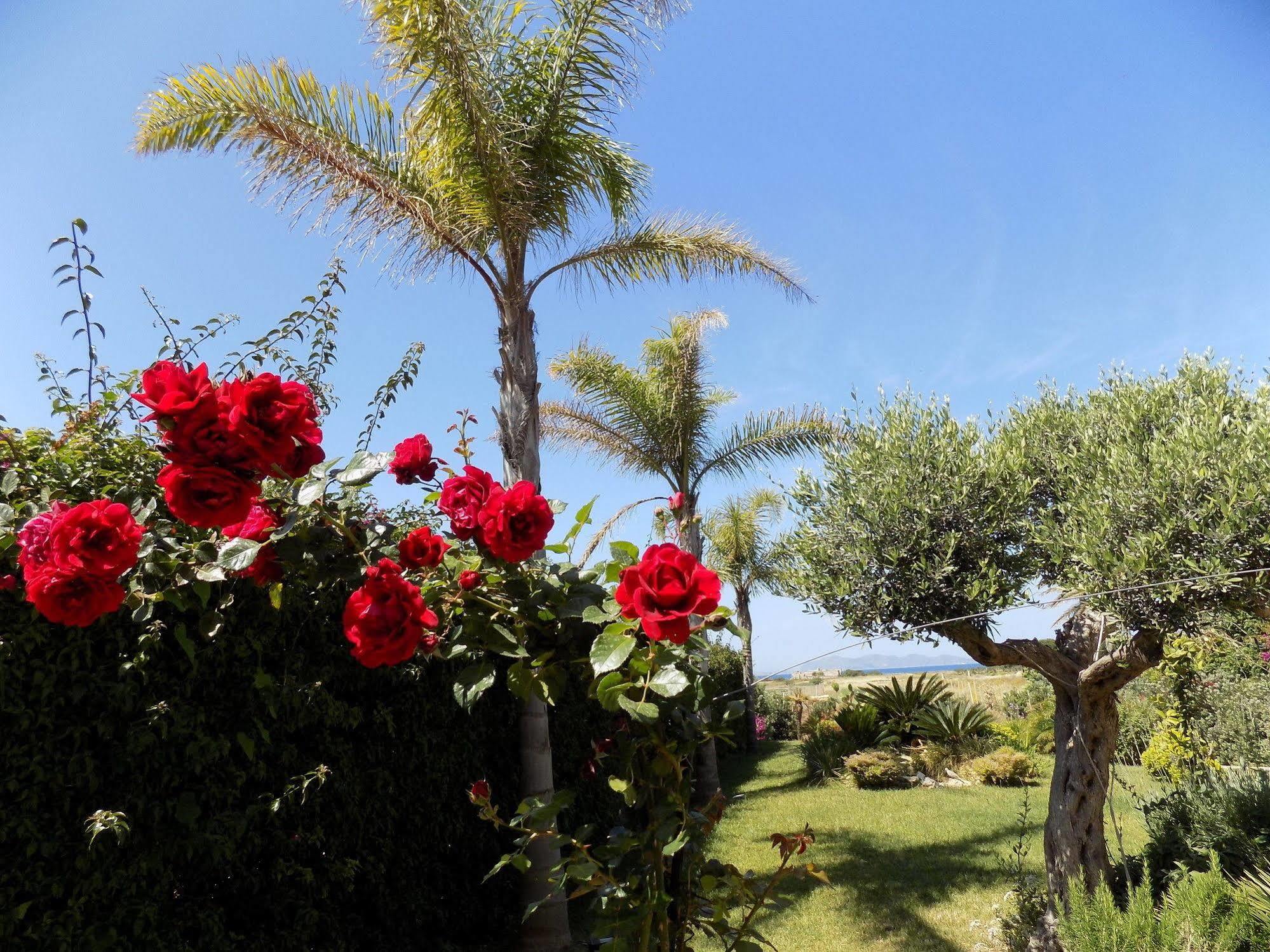 - Vista Egadi - Bed and breakfast 2*